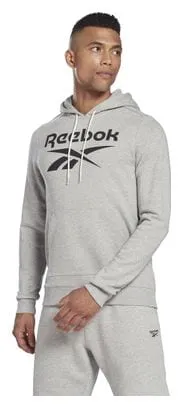 Felpa con cappuccio Reebok Training Big Logo grigia