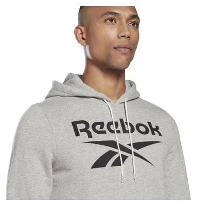 Felpa con cappuccio Reebok Training Big Logo grigia