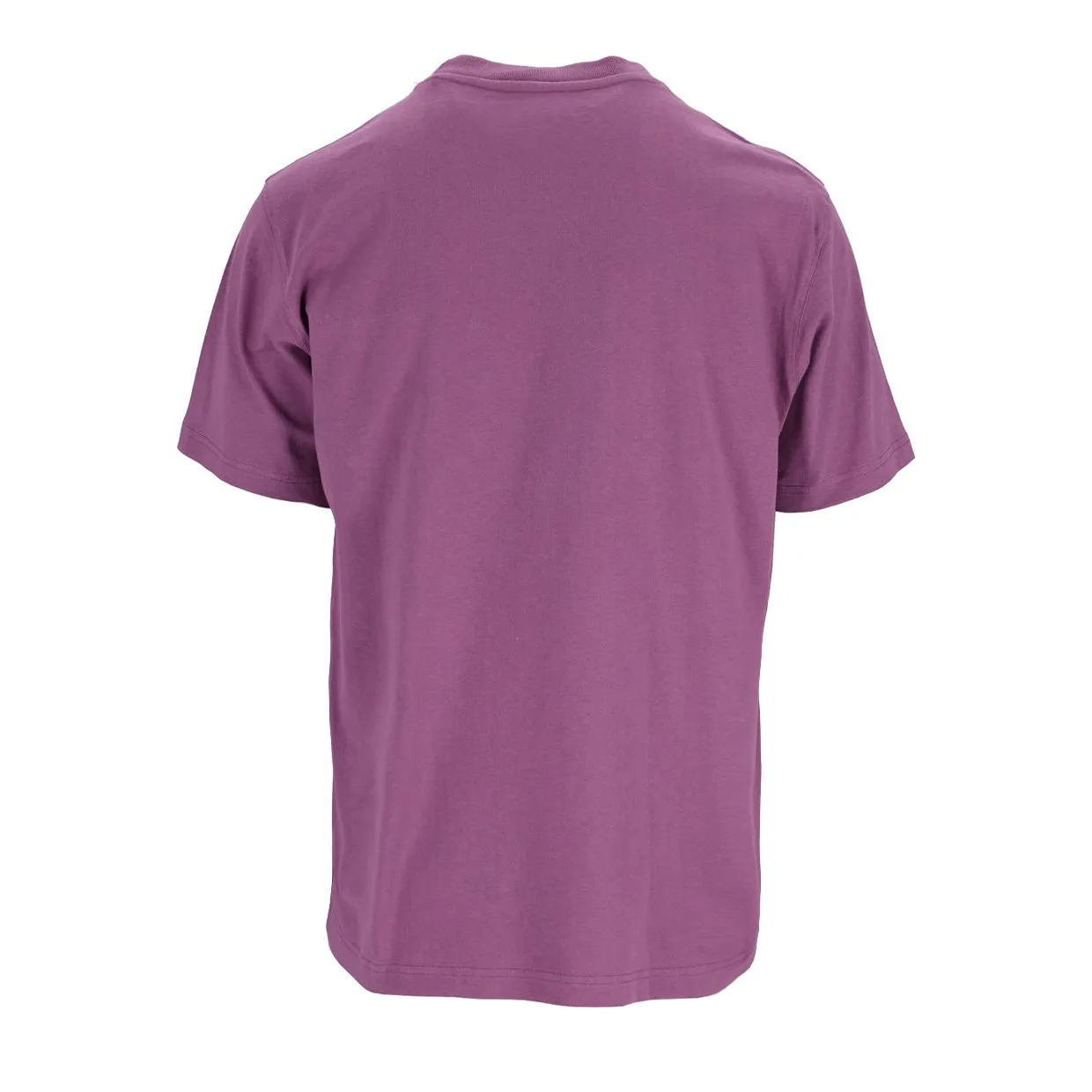 T-shirt Dickies Porterdale Viola